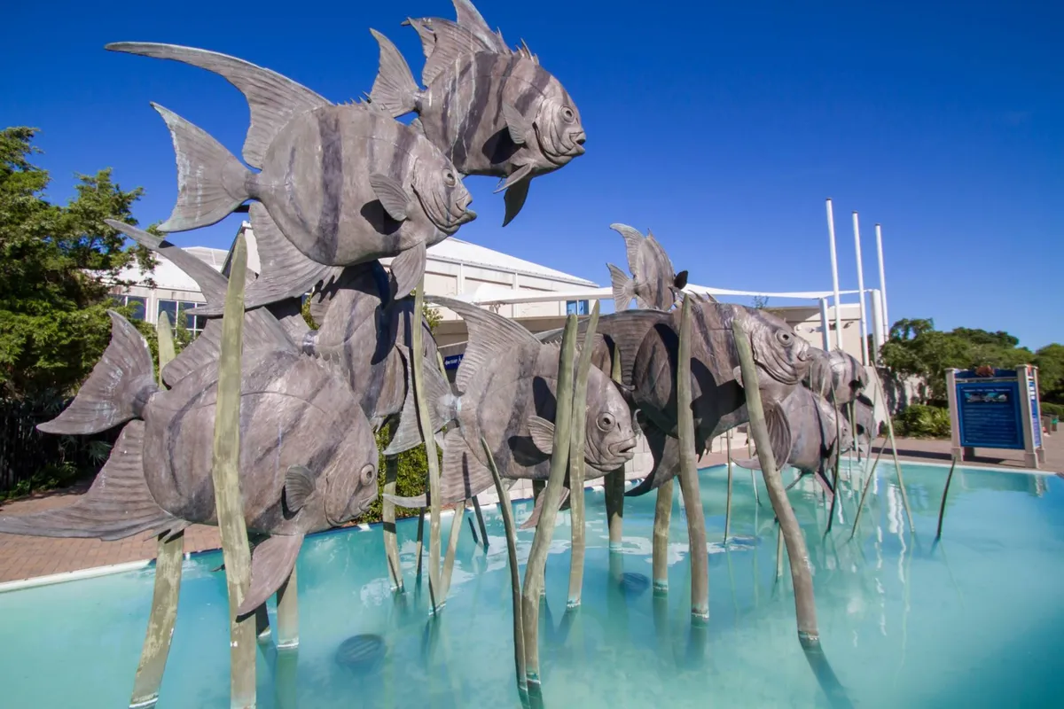 Whimsical large fish sculptures and a water feature are surrounded by lush greenery, creating a playful and artistic outdoor space that encourages families and groups to pause, snap photos, and enjoy unique local attractions.