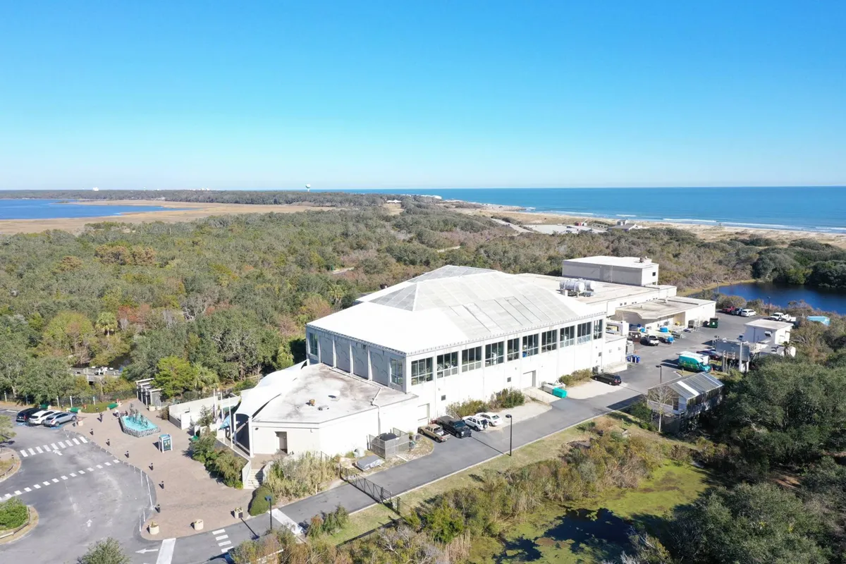 A large building sits by the waterfront, surrounded by greenery and open spaces, hinting at a nearby park or recreational area. This setting is ideal for outdoor gatherings and leisurely walks, making it appealing for guests traveling with pets.